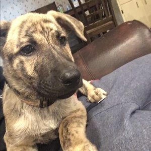 Meet your Posher, Hailey